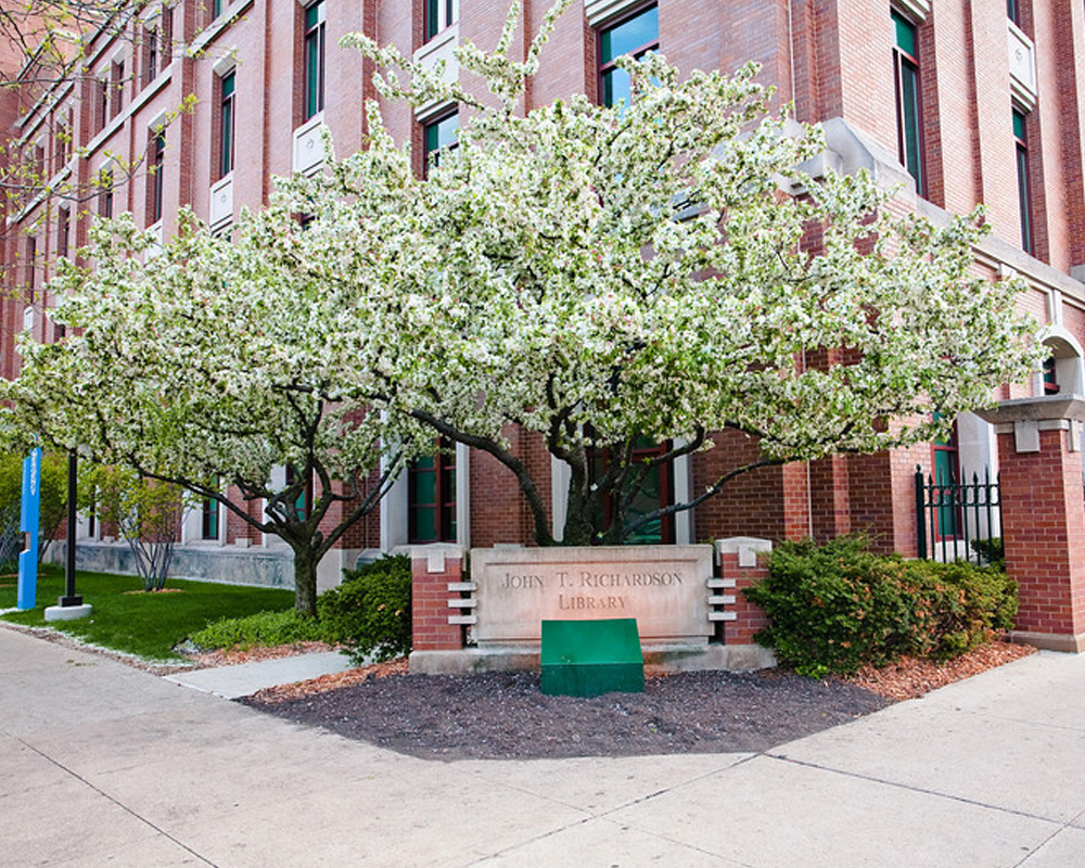 Library Hours for Spring Break